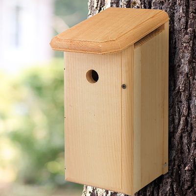 Coveside House Wren Bird House