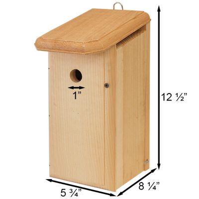 Image showing  House Wren Bird House