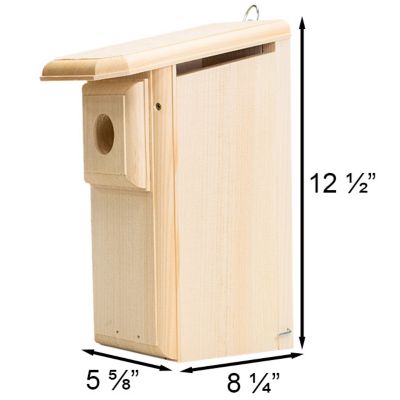 Image showing  Observation Bluebird House