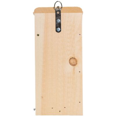 Image showing  Observation Bluebird House