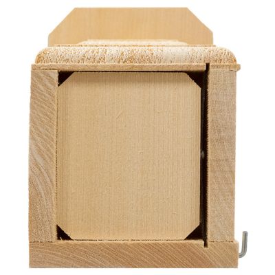 Image showing  Observation Bluebird House