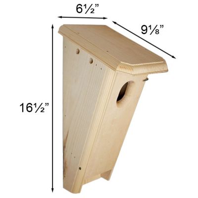 Image showing  Slant-Front Bluebird Box