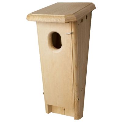 Image showing  Slant-Front Bluebird Box