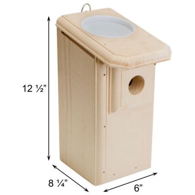 Image showing  Open-Top Eastern Bluebird House