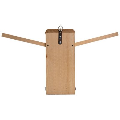 Image showing  Two-Sided Observation Eastern Bluebird House