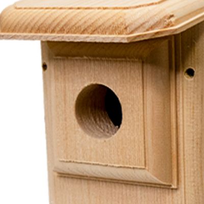 Image showing  Two-Sided Observation Eastern Bluebird House