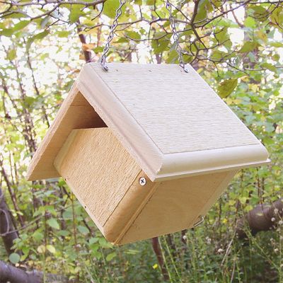 Coveside Carolina Wren Bird House