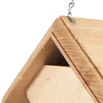 Image showing  Carolina Wren Bird House