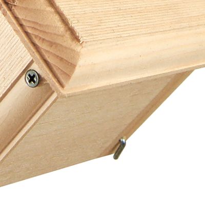 Image showing  Carolina Wren Bird House