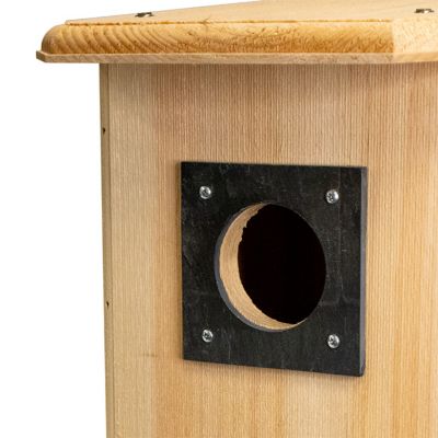 Image showing  Flicker House