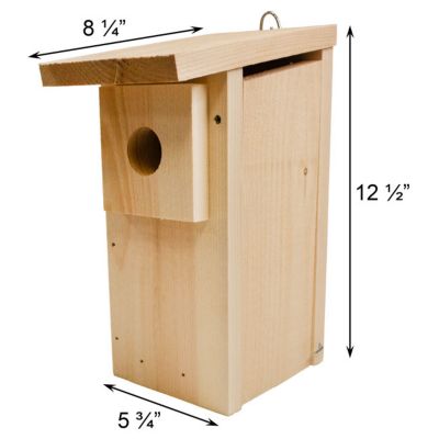 Image showing  Basic Eastern Bluebird Trail Box