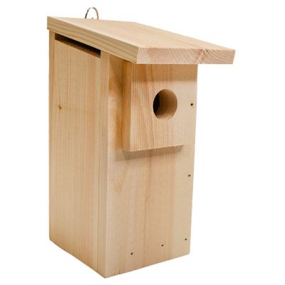 Image showing 5 th Coveside Basic Eastern Bluebird Trail Box