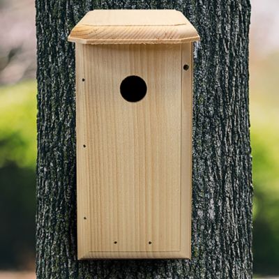 Coveside Nuthatch House