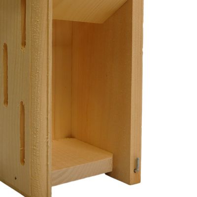 Image showing  Small Butterfly House