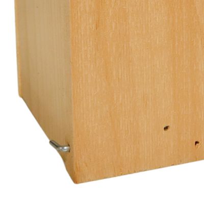 Image showing 5 th Coveside Small Butterfly House