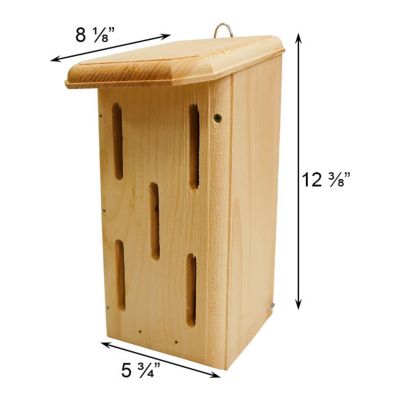 Image showing 6 th Coveside Small Butterfly House