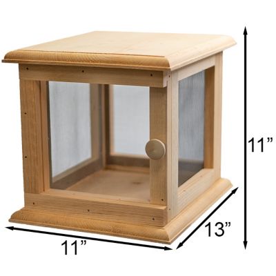 Image showing  Butterfly Vivarium