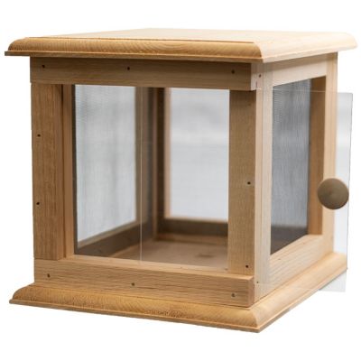 Image showing  Butterfly Vivarium