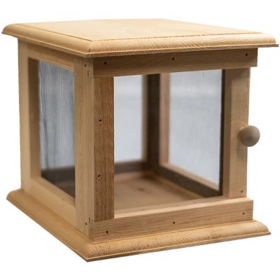 Image showing  Butterfly Vivarium