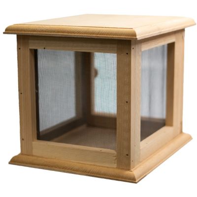 Image showing  Butterfly Vivarium