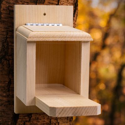 Coveside 1 Cob Capacity Peanut Box Squirrel Feeder