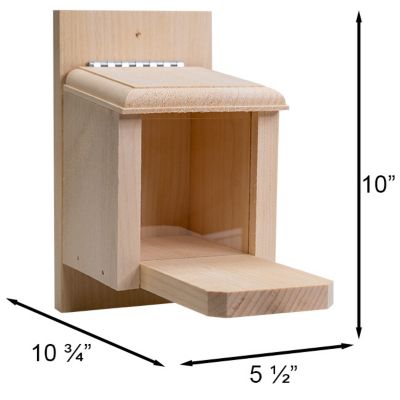 Image showing  1 Cob Capacity Peanut Box Squirrel Feeder