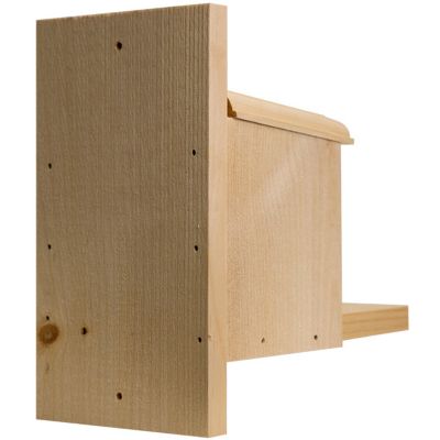 Image showing  1 Cob Capacity Peanut Box Squirrel Feeder