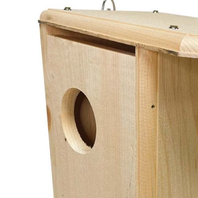 Image showing  Squirrel House