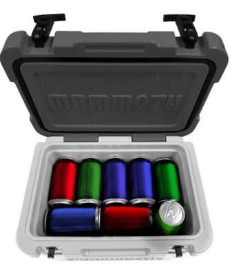 Image showing  17 qt. Cruiser Cooler, Light & Dark Gray