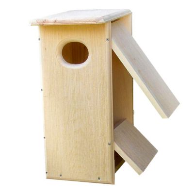 Image showing  Common Merganser Duck House