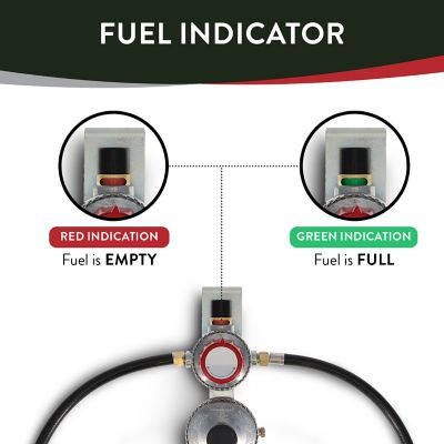 Image showing  Dual Stage Auto Changeover Regulator