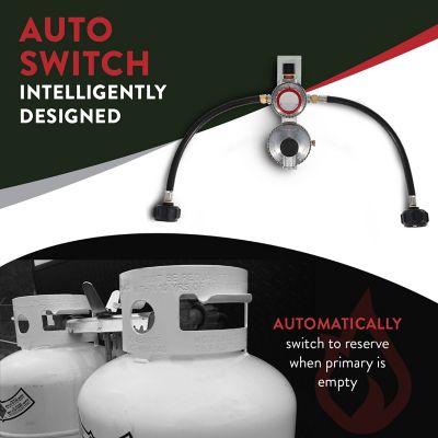 Image showing 5 th Gas One Dual Stage Auto Changeover Regulator