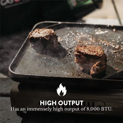 Image showing  7,650 Portable Dual Fuel Stove Propane or Butane