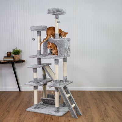 Image showing  6 ft. Two Tower Climbing Cat Tower