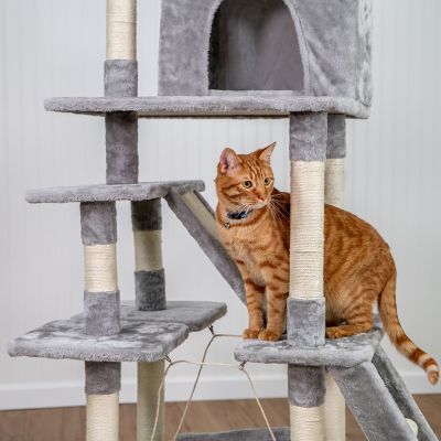 Image showing  6 ft. Two Tower Climbing Cat Tower
