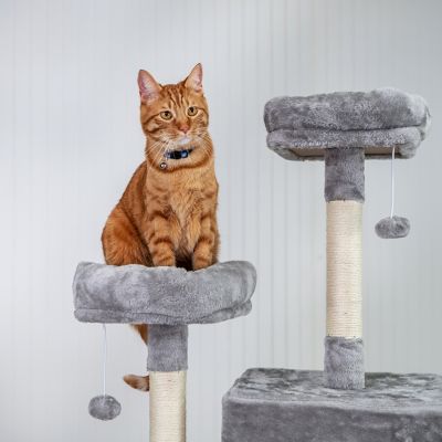 Image showing  6 ft. Two Tower Climbing Cat Tower