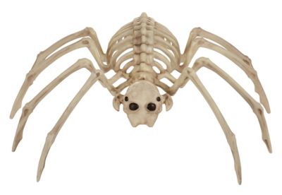 Red Shed Halloween Skeleton Spider