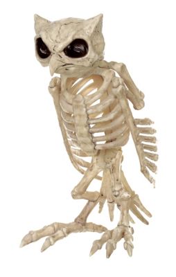Red Shed Halloween Skeleton Owl