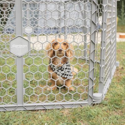 Image showing 5 th Carlson Pet Products 2-in-1 Plastic Gate and Pet Pen