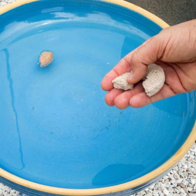 Image showing  Mosquito Dunks - 20 Dunks to a Card