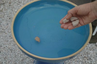 Image showing  Mosquito Dunk Chunks - 5 Chunks Per Package