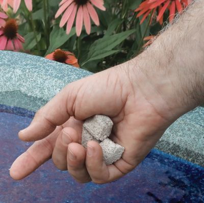 Image showing  Mosquito Dunk Chunks - 5 Chunks Per Package