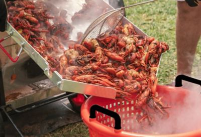 Image showing  16 in. x 14.5 in. Plastic Seafood Serving Basket