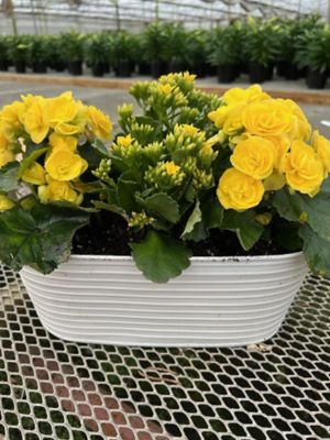 Post Easter Garden Planter