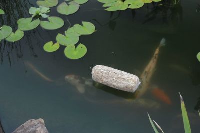 Image showing  Clear Water Barley Straw Pond Treatment, Treats up to 500 gal.