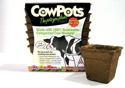 CowPots #3 SQUARE Seed & Plant Starter Pots, 12 ct.