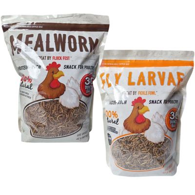 Fickle Fowl Dried Soldier Fly Larvae and Dried Mealworm Bug Set