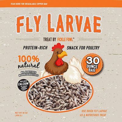Fickle Fowl Fly Larvae Poultry Treats, 3-Pack