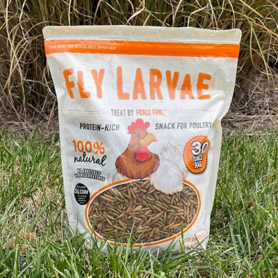 Image showing  Fly Larvae Poultry Treats, 3-Pack
