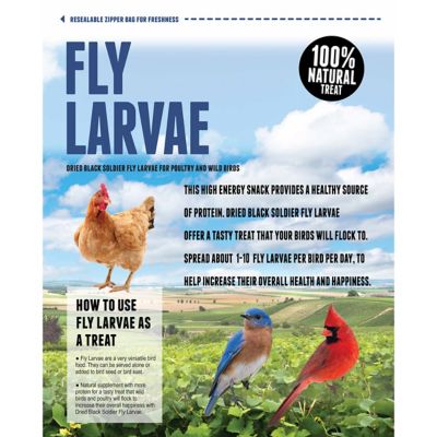 Image showing  Dried Black Soldier Fly Larvae Poultry Treats, 4 pk.